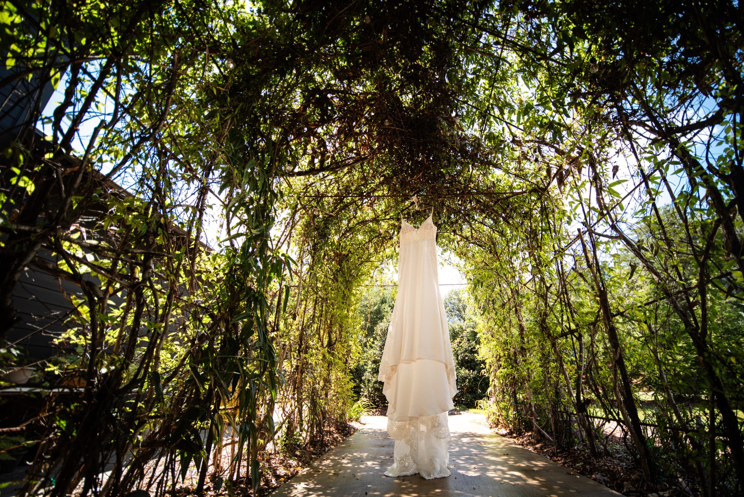 a wedding dress from a tree